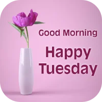 Good Morning Tuesday