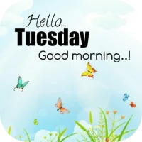 Happy Tuesday Good Morning